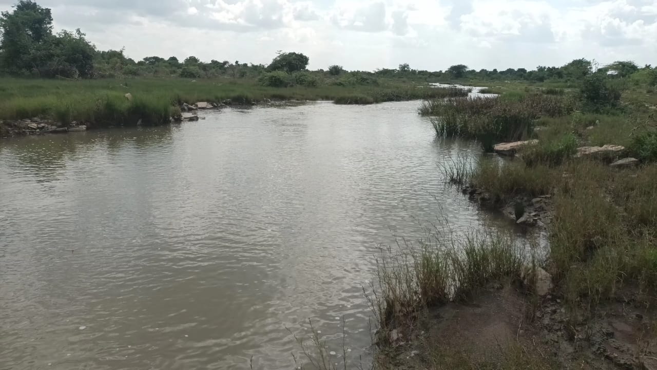 Natural surroundings